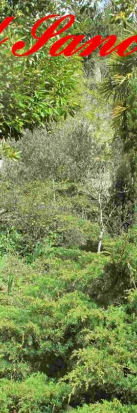 Songbird Sanctuary，位于Civray-de-Touraine的酒店