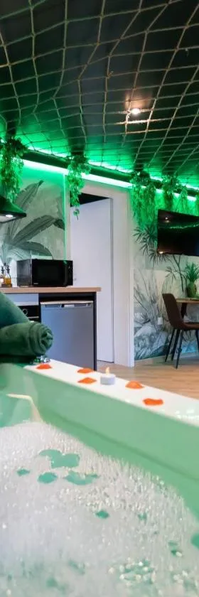 L'Oasis Tropicale, Jacuzzi, Love Room，位于罗珀南的酒店