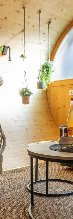 L'Oasis des Coccinelles，位于Sainte-Croix-aux-Mines的酒店