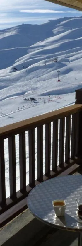 Valle Nevado Apartamento Ski In Out，位于巴耶内瓦的酒店