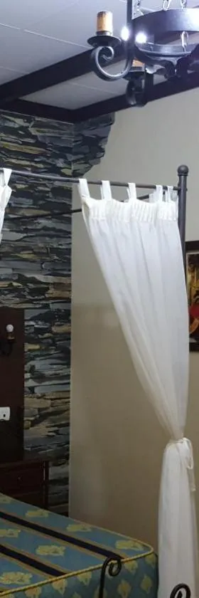Hostal El Lirio，位于博柳略斯帕尔德尔孔达多的酒店