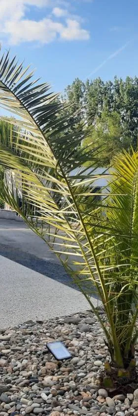 Camping Le Moulin des Effres，位于Secondigny的酒店