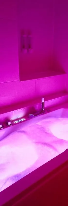Zen lodge jacuzzi privé，位于沙泰勒吉永的酒店