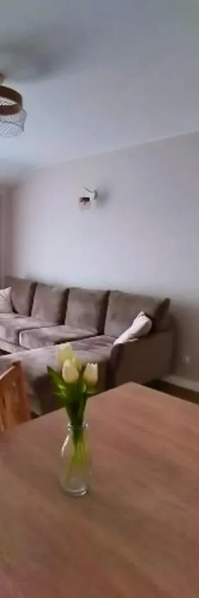 Jaśminowy Apartament，位于奥尔什蒂内克的酒店