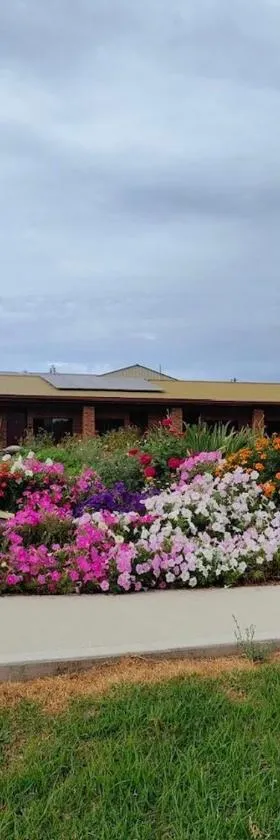 Hills of Gold Motel at Nundle，位于Nundle的酒店