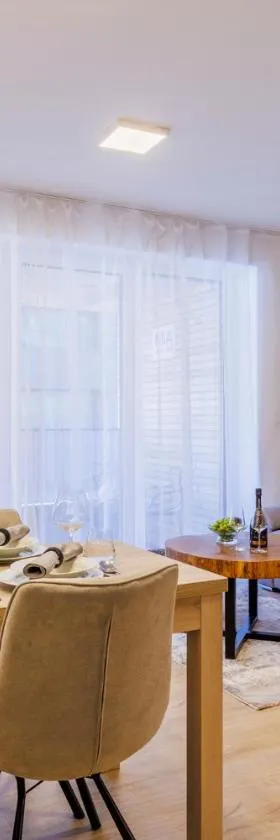 MIA apartment，位于多尔尼莫拉瓦的酒店