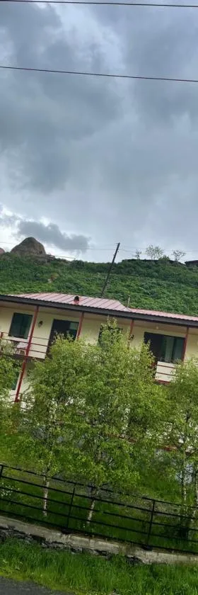 Hotel SHIBI，位于居塔的酒店