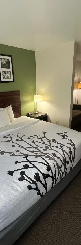 Sleep Inn & Suites Conference Center Eau Claire North，位于Union的酒店