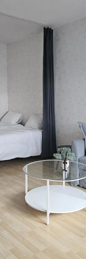 Laitila City Apartments - sisältää parkkipaikan，位于Laitila的酒店