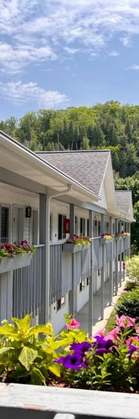 Main Street Motel，位于鱼溪的酒店