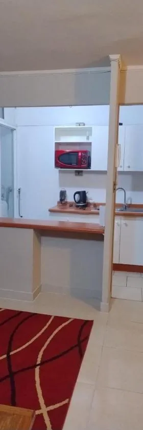 Añañuca #405，位于瓦斯科的酒店