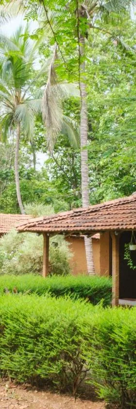 Nature's Nest Eco Resort Goa, Near Dudhsagar Waterfalls，位于Molem的酒店