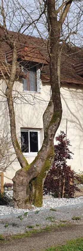 La Maison de Judith Chambres d hôtes，位于奥尔泰兹的酒店