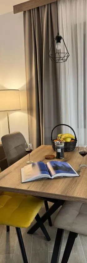 Friends Apartmani - Broj 2，位于Raška的酒店