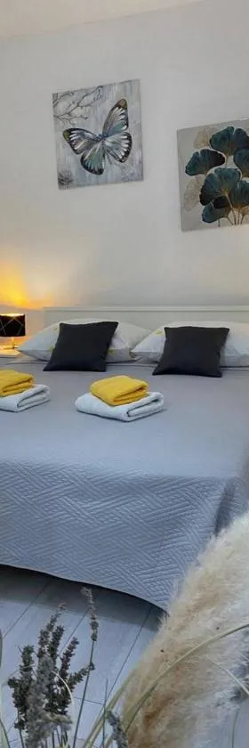 Rural Apartment Ante，位于德尔尼什的酒店
