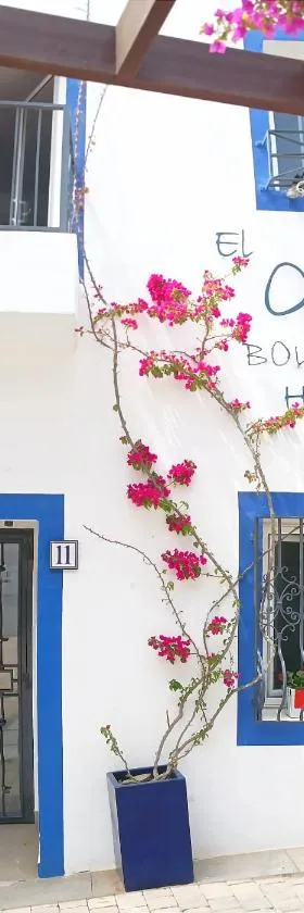 Boutique Hotel El Olivar，位于莫哈卡尔的酒店