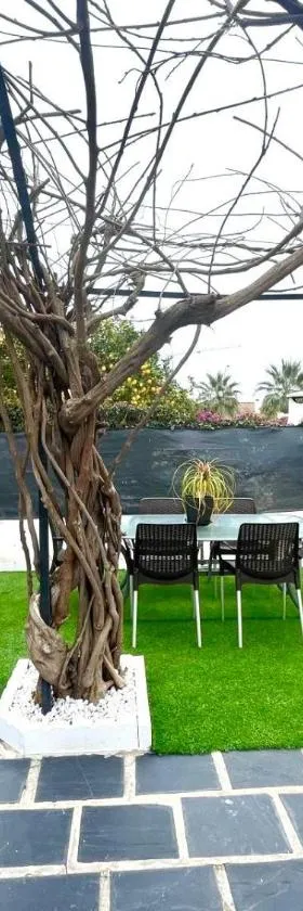 Casa Marítima Mediterránea，位于埃尔韦尔赫尔的酒店