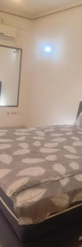 Sindi Apartman，位于巴奇卡帕兰卡的酒店