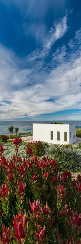 Saltwater - Absolute Oceanfront, Fire Pits, some Villas with Hot Tubs and Sauna，位于Falmouth的酒店