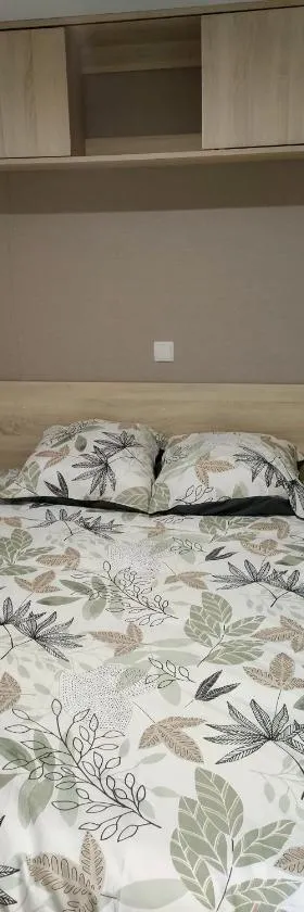 Mobil home 8 pers dans Camping Siblu Les Rives de Condrieu，位于孔德里约的酒店