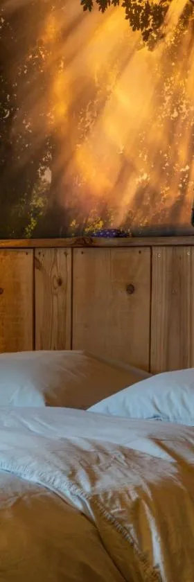 Hotel Green Ecolodge，位于拉科尔米亚讷的酒店