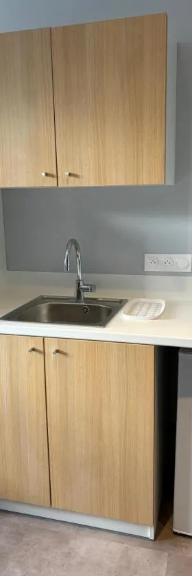 Appartement ESCURIAL CHU VANDOEUVRE-LES-NANCY，位于旺德夫尔莱南锡的酒店