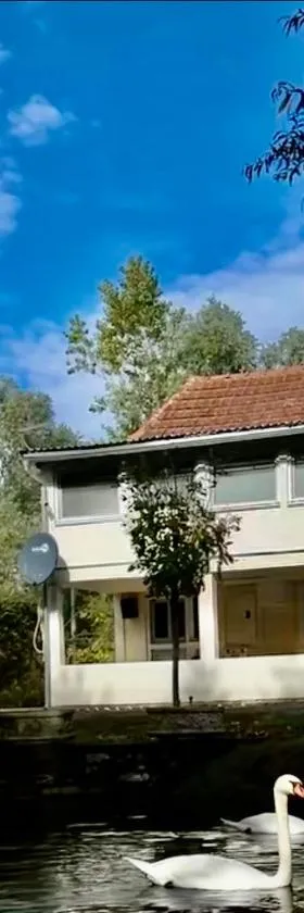 Emily's house，位于Čelarevo的酒店