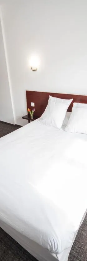 Logis Hôtel & Restaurant Au Lion d'Or，位于伯恩霍普勒豪特的酒店