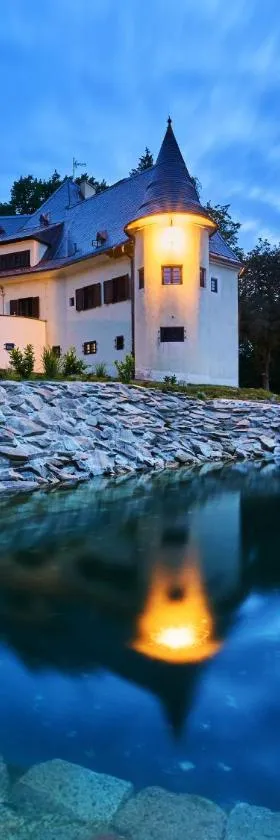 Boutique hotel & Wellness Spitzerova vila Eliška，位于Janovice的酒店