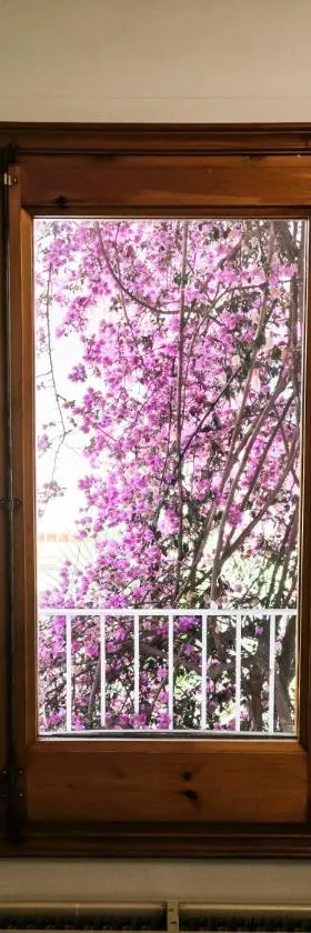 El Penell Apartament Llevant，位于Vilamaniscle的酒店