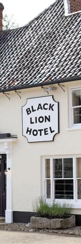 Black Lion Hotel，位于小沃尔辛厄姆的酒店