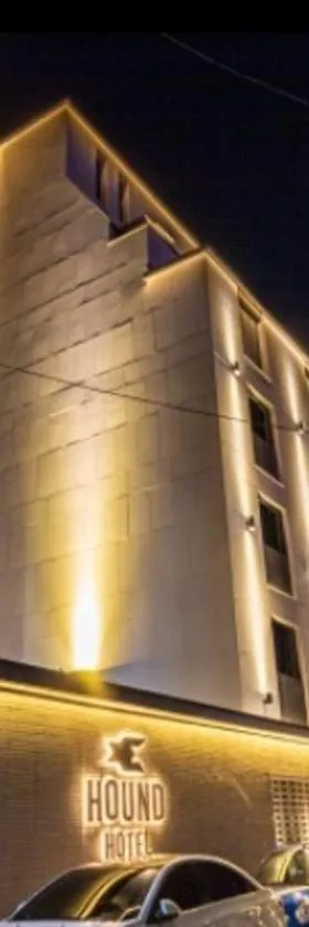 Hound Hotel Songtan，位于平泽市的酒店