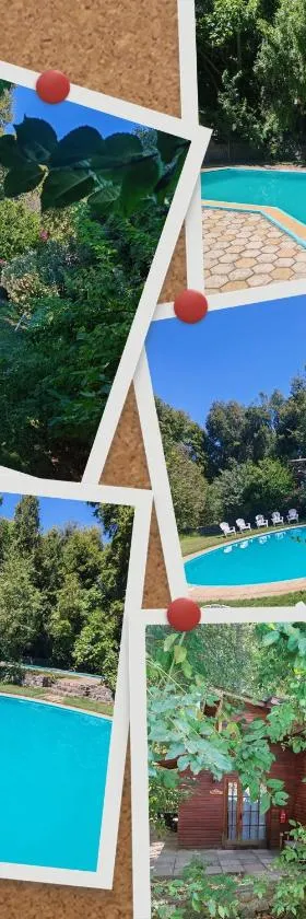 Cabañas Hosteria de Vilches，位于比尔切斯的酒店