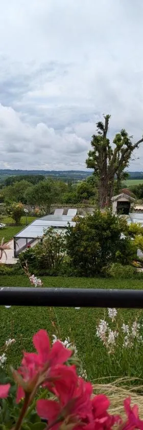 Domaine du Coq，位于Montignac-le-Coq的酒店