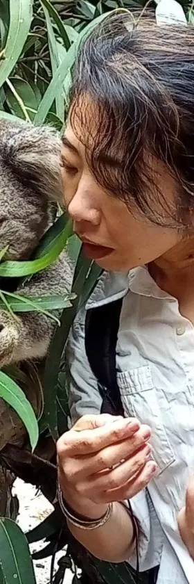 Fauna Australia Wildlife Experience，位于Lavers Hill的酒店