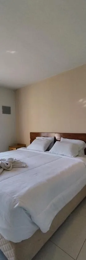 Hotel Carmen del Parana，位于Carmen del Paraná的酒店