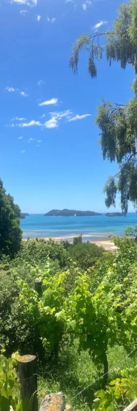 Whitebait Point，位于凯特里特里的酒店