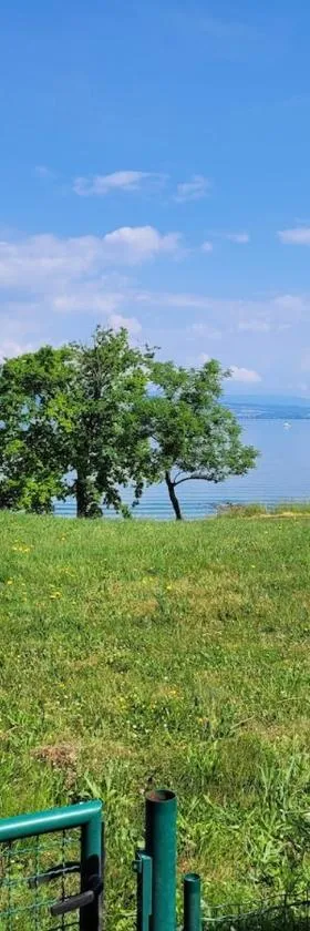 Appartement les pieds dans le Lac Léman，位于Anthy的酒店