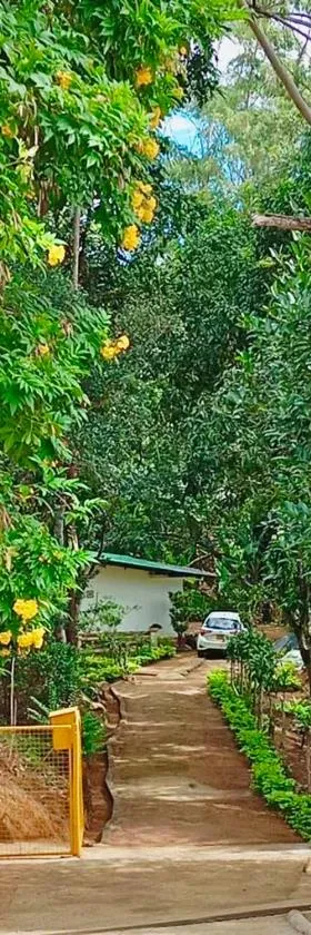 Serenity at Natures Nest - Entire Home，位于班德勒韦勒的酒店