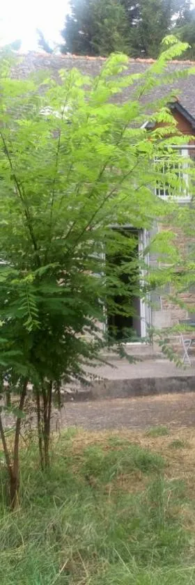 House on La Basse Martinais，位于Saint-Vran的酒店