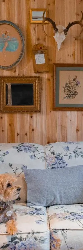 Cabin on Hunter Mtn Seasonal Pool Access w Panoramic Views Hike Swim Fish Recharge，位于Lanesville的酒店