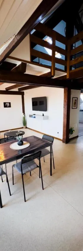 Duplex centre ville，位于苏茨-上莱茵的酒店