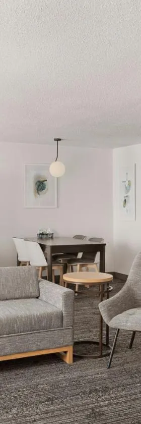 芝加哥纳波维尔TownePlace Suites酒店，位于内珀维尔的酒店
