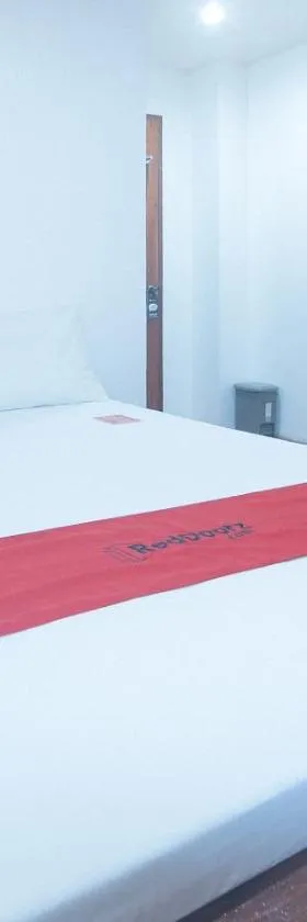 RedDoorz at Mina's Place 2 Banez Ville Tacloban，位于独鲁万的酒店