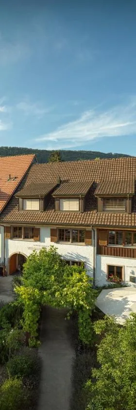 Hirschen Erlinsbach Swiss Quality，位于Erlinsbach的酒店