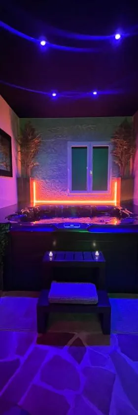 L'appar-T loft avec Spa privatif et jardin，位于日尔的酒店