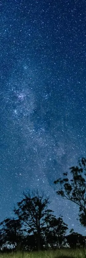 Scribbly Farm, Boutique Southern Highlands Accommodation，位于Joadja Creek的酒店