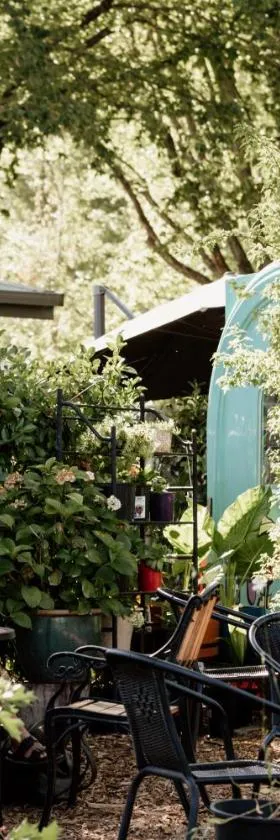 Tasman Holiday Parks - South Bright，位于布赖特的酒店