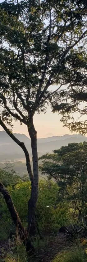 Musangano Lodge，位于Odzi的酒店