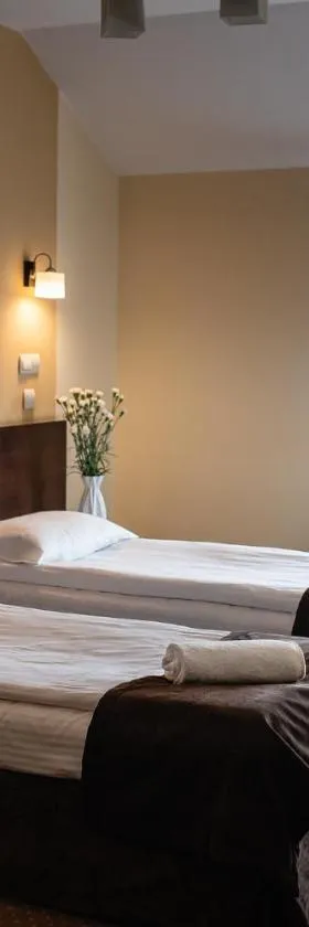 Hotel Alta，位于Brzozów的酒店